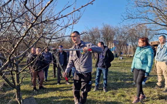 Metszésbemutatók a Partiumban – elméleti és gyakorlati tudás a gazdák szolgálatában