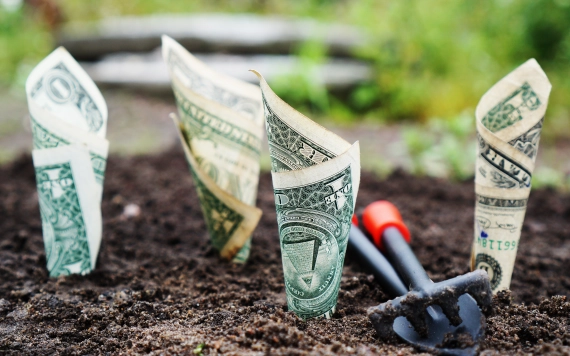 Fiatal agrárdiákok jelentkezhetnek a Magyarok Kenyere a Jövőért Ösztöndíjprogramba