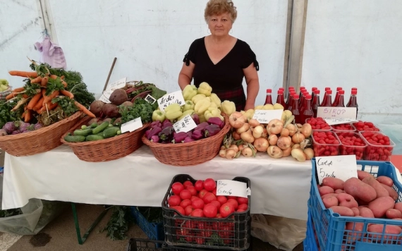 Vásárfia Hegyközpályiban