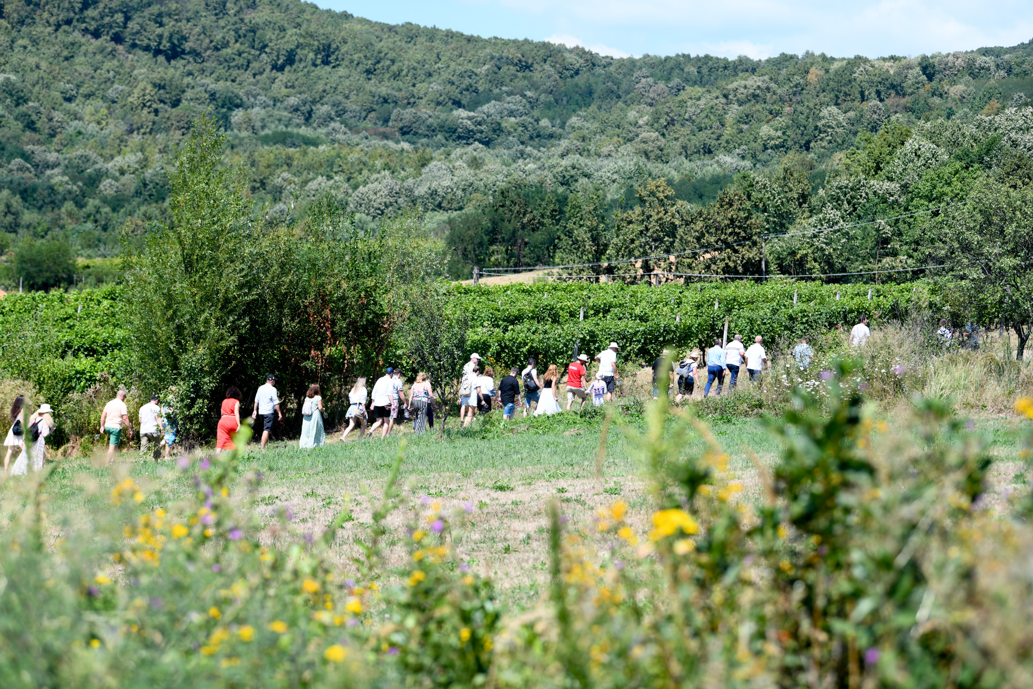 piknik3.jpg