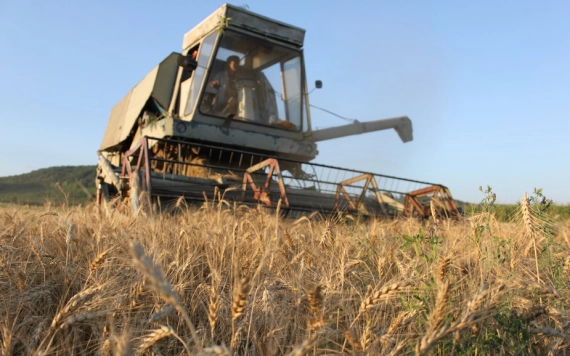 Búzatárolási támogatást igényelhetnek a gazdák: a határidő május 11.