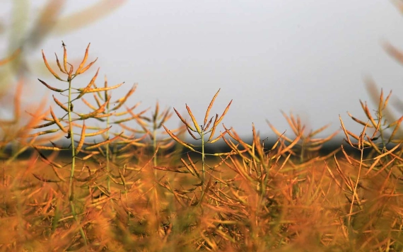 Hírlevél 2021. október 25.