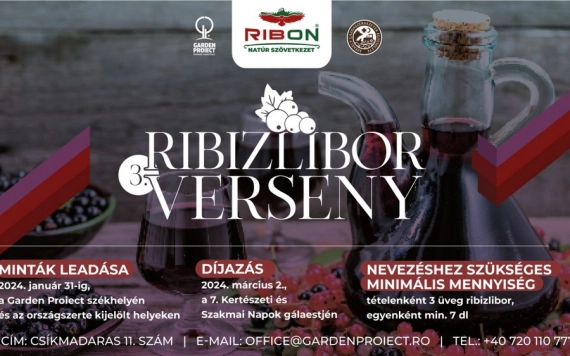 Indul a III. RibON Ribizlibor Verseny