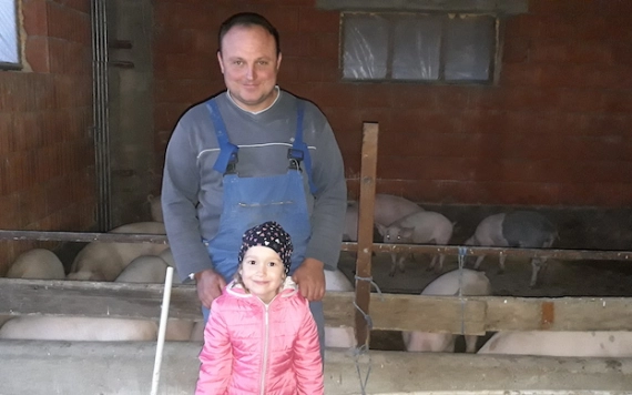 Háztáji sertéstartás: milyen lesz a jövő?