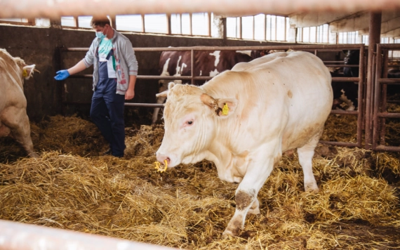 Kisgazdák támogatásáról