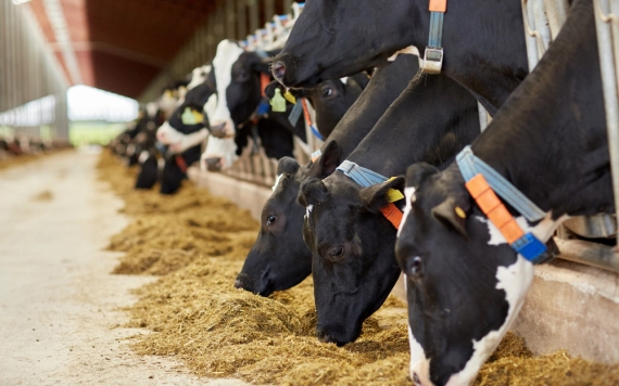 Hírlevél 2023. november 26.