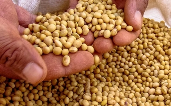 Kémeren és Székelyhídon folytatódik az Agrárakadémia