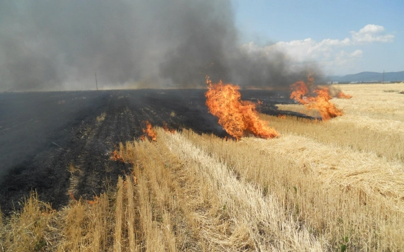 Büntetik a tarlóégetőket, de a támogatástól is elesnek