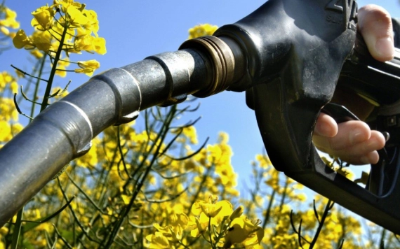 Több pénzt fordít a kormány a gázolajár-támogatásra