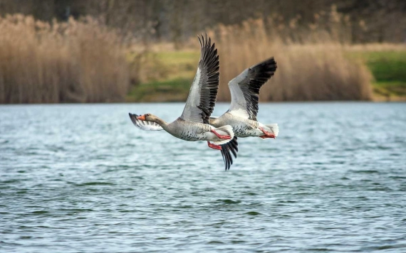 Hírlevél 2021. november 22.