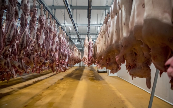 APCPR: legkevesebb 25 százalékkal fog emelkedni a sertéshús ára