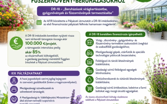 Új támogatási lehetőség a dísznövény-, gyógynövény- és aromásnövény-termesztőknek – Mit kínál a DR-18?