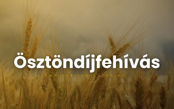 Ösztöndíjfelhívás a 2026–2027-es tanévre