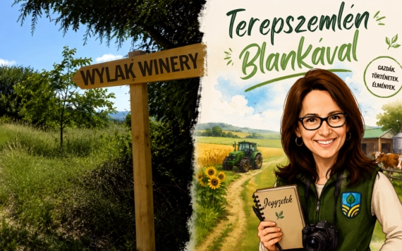 Egy fiatal borász álma – Terepszemlén Blankával a Wylak Winerynél