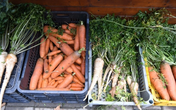 Tájékoztató jellegű útmutató az Európai Uniós beruházási támogatásról